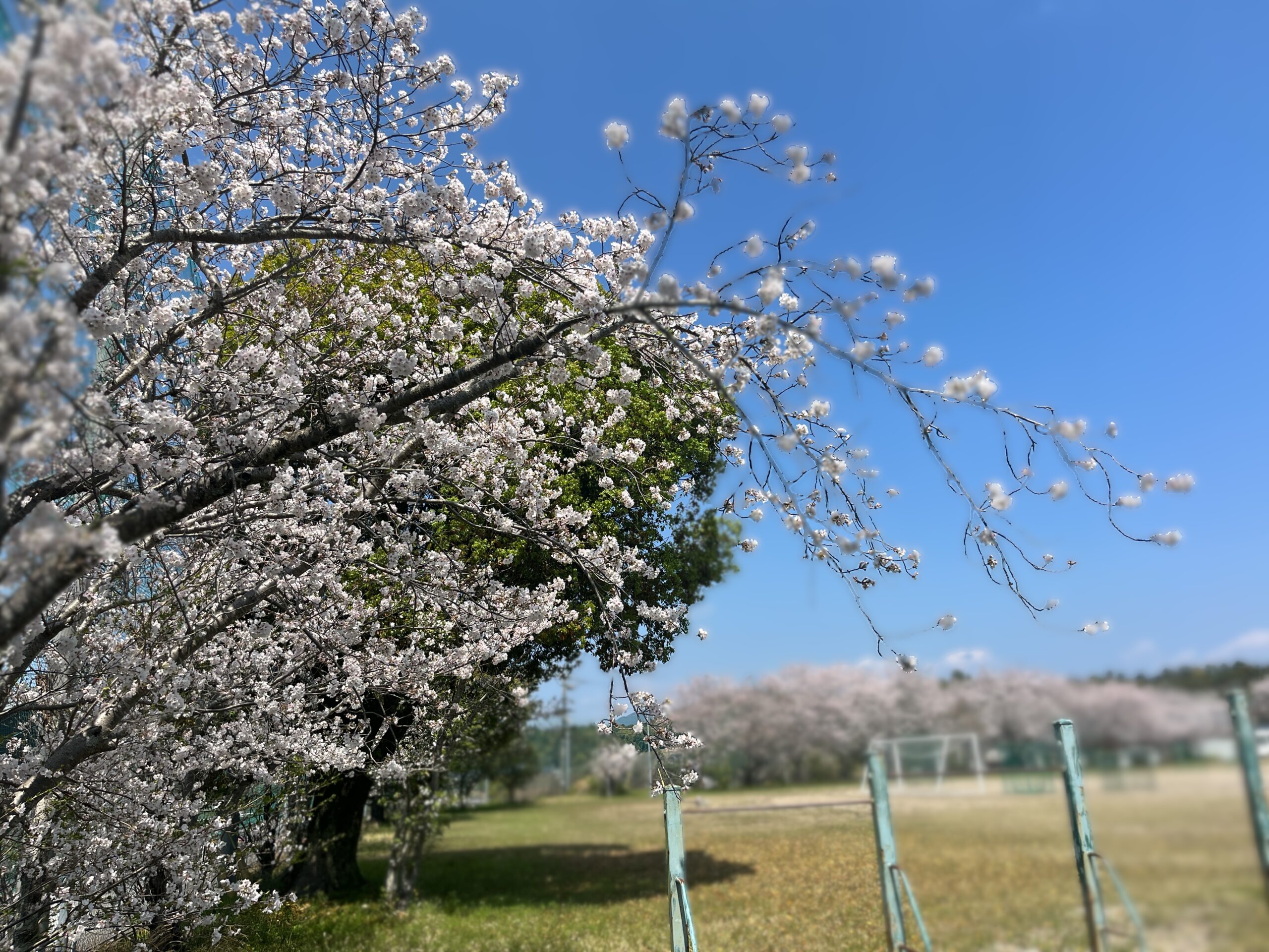令和8年度新任式・始業式
